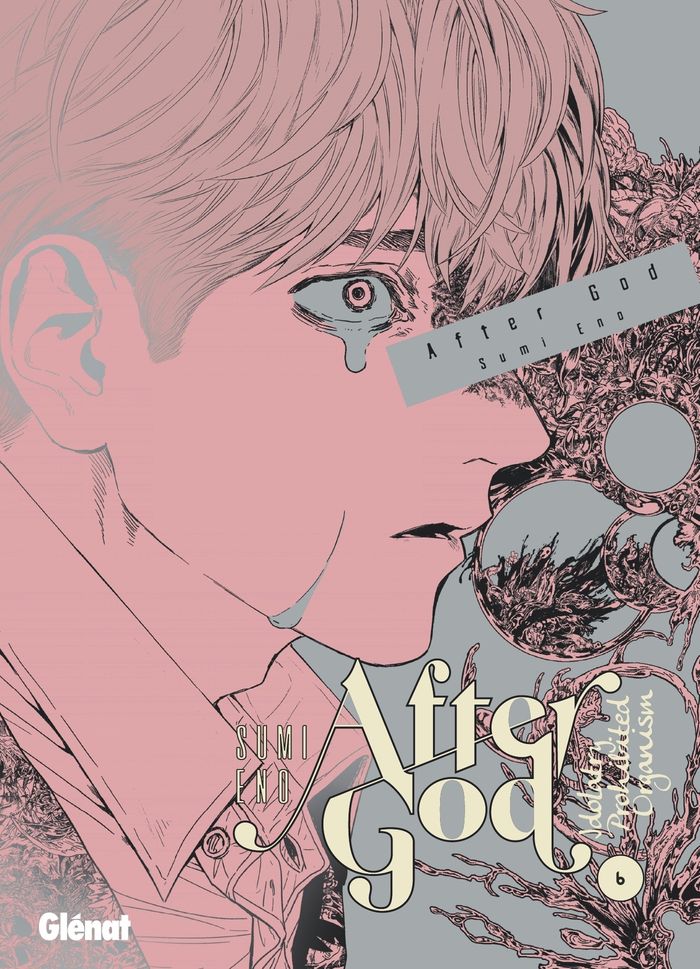 Couverture du livre « After God : idolatry prohibited organism » de Sumi Eno, librairie Les Contes Infusés à Corte