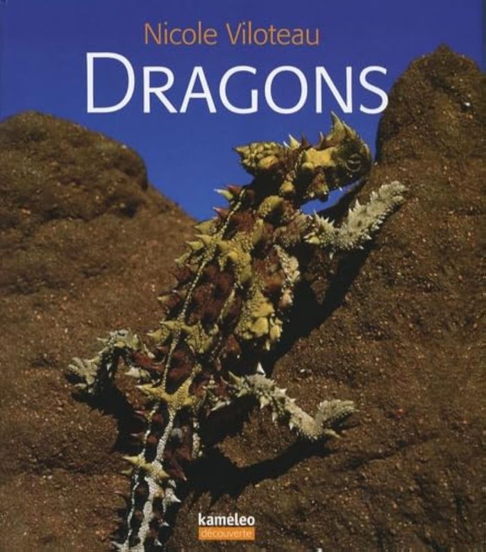 Couverture du livre « DRAGONS » de Nicole Viloteau, librairie Les Contes Infusés à Corte