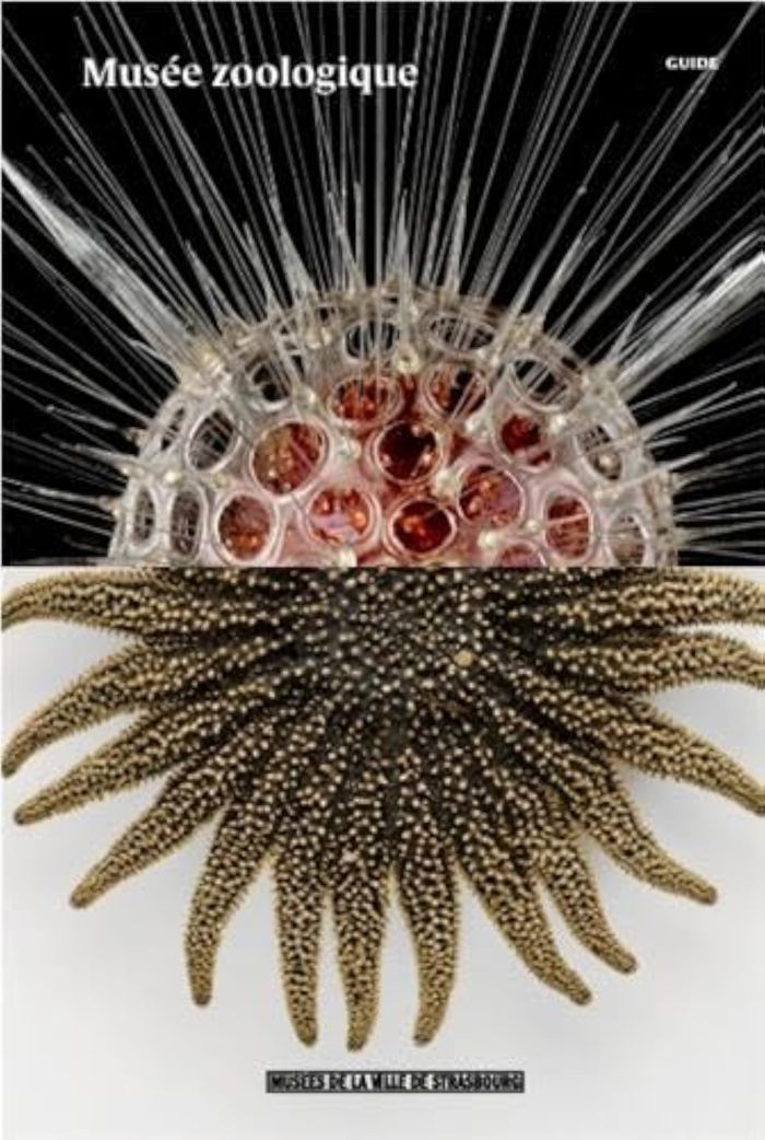 Couverture du livre « Zoologisches Museum » de Samuel Cordier, librairie Les Contes Infusés à Corte