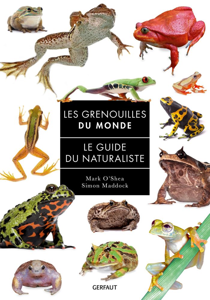 Couverture du livre « Les grenouilles du monde : le guide du naturaliste » de Mark O'Shea, librairie Les Contes Infusés à Corte