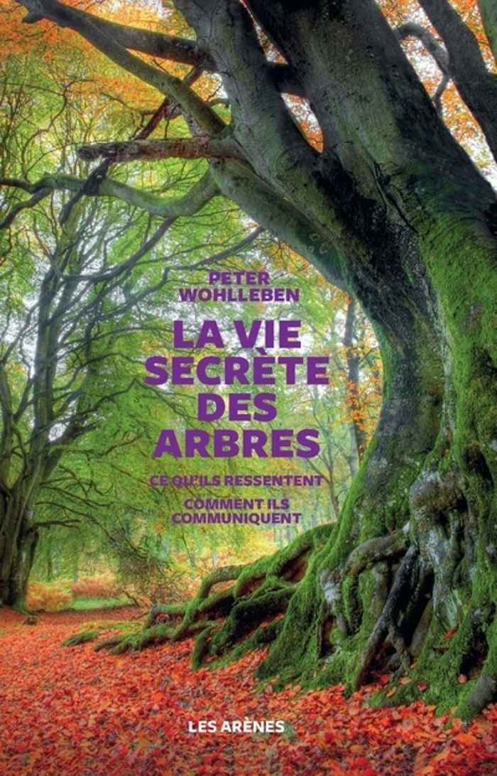 Couverture du livre « La vie secrète des arbres : ce qu'ils ressentent, comment ils communiquent, un monde inconnu s'ouvre à nous » de Peter Wohlleben, librairie Les Contes Infusés à Corte