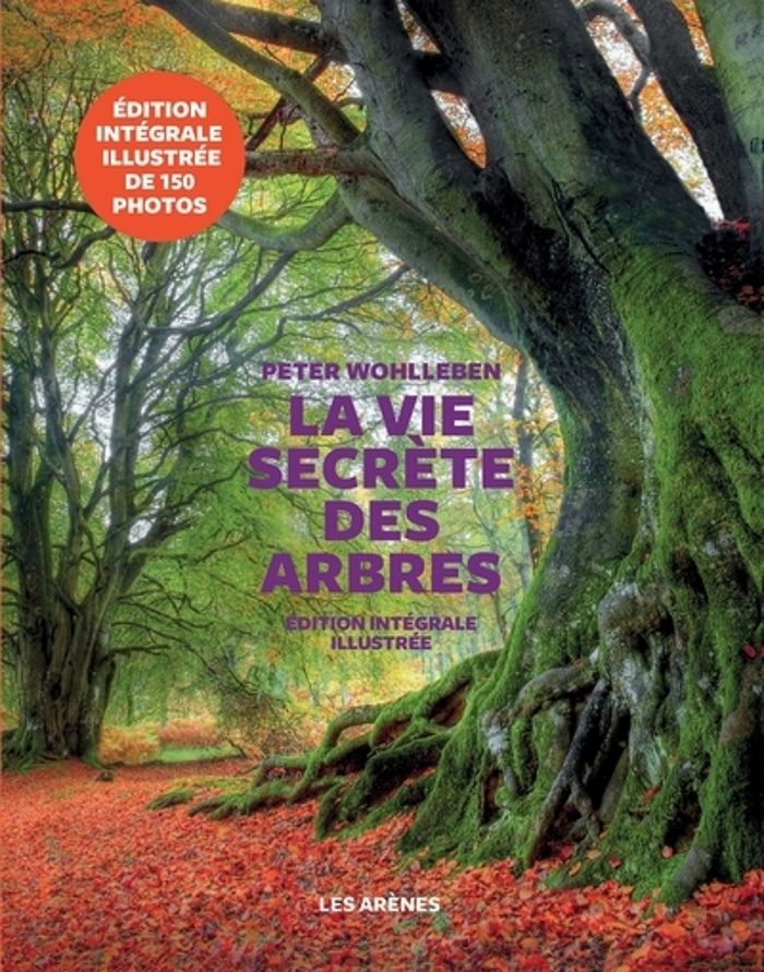 Couverture du livre « La vie secrète des arbres : ce qu'ils ressentent, comment ils communiquent, un monde inconnu s'ouvre à nous » de Peter Wohlleben, librairie Les Contes Infusés à Corte