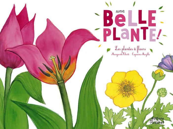 Couverture du livre « UNE BELLE PLANTE » de Tiberti/mazille, librairie Les Contes Infusés à Corte
