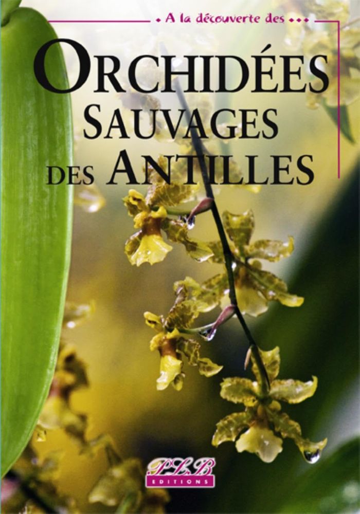 Couverture du livre « ORCHIDEES SAUVAGES DES ANTILLES » de C, librairie Les Contes Infusés à Corte