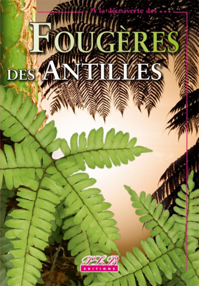 Couverture du livre « FOUGERES ET PLANTES ALLIEES DES PETITES ANTILLES » de J-F. Bernard, librairie Les Contes Infusés à Corte