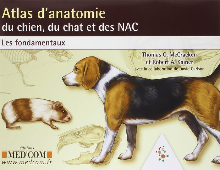 Couverture du livre « ATLAS D'ANATOMIE DU CHIEN DU CHAT ET DES NAC LES FONDAMENTAUX », librairie Les Contes Infusés à Corte