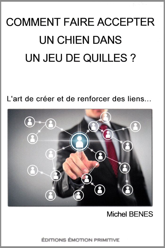 Couverture du livre « COMMENT FAIRE ACCEPTER UN CHIEN DANS UN JEU DE QUILLES? » de Michel Benes, librairie Les Contes Infusés à Corte