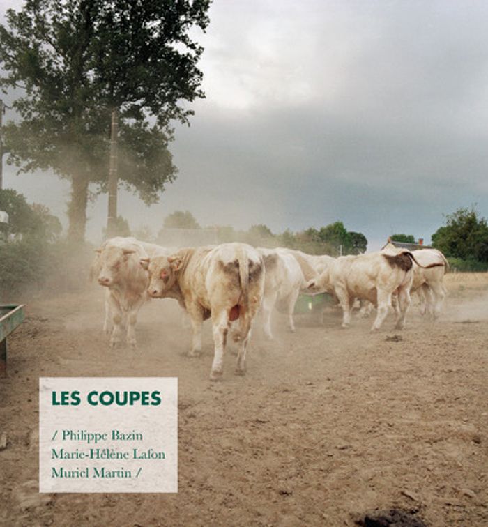 Couverture du livre « LES COUPES », librairie Les Contes Infusés à Corte