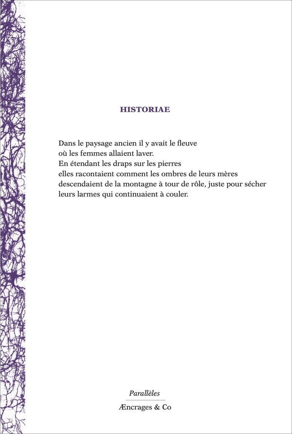 Quatrième de couverture de « Historiae »