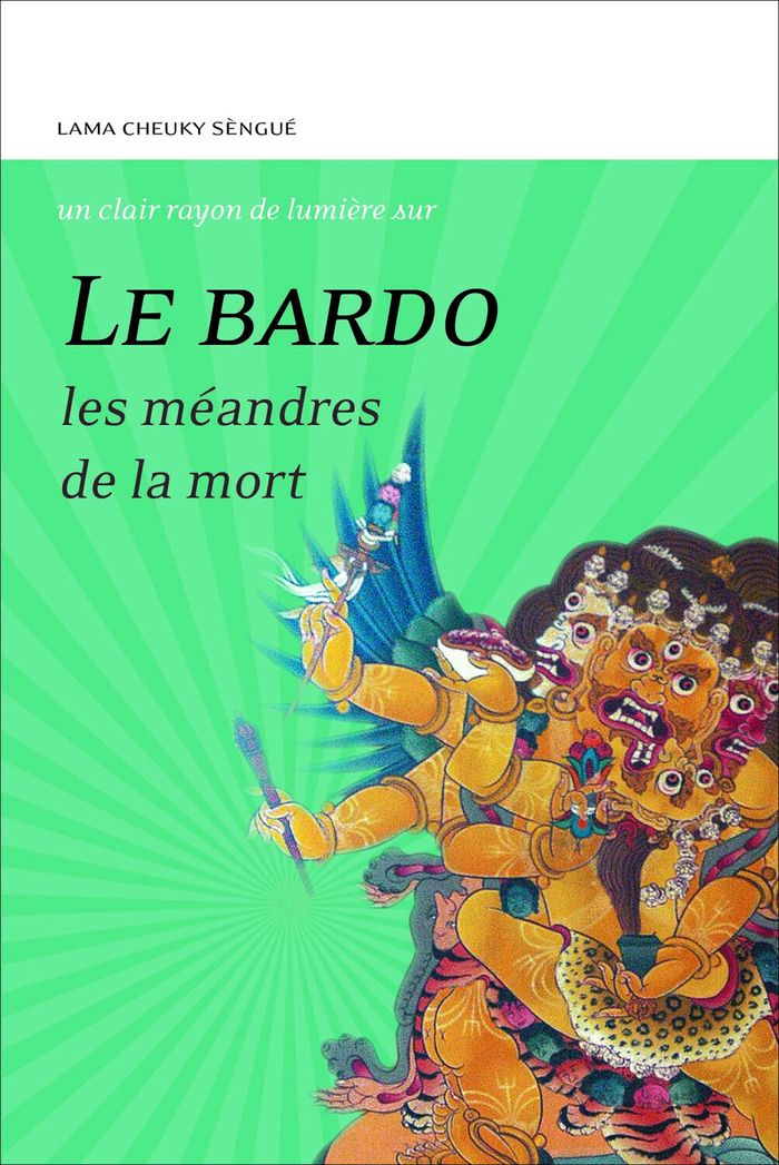 Couverture du livre « Le bardo : les méandres de la mort », librairie Les Contes Infusés à Corte