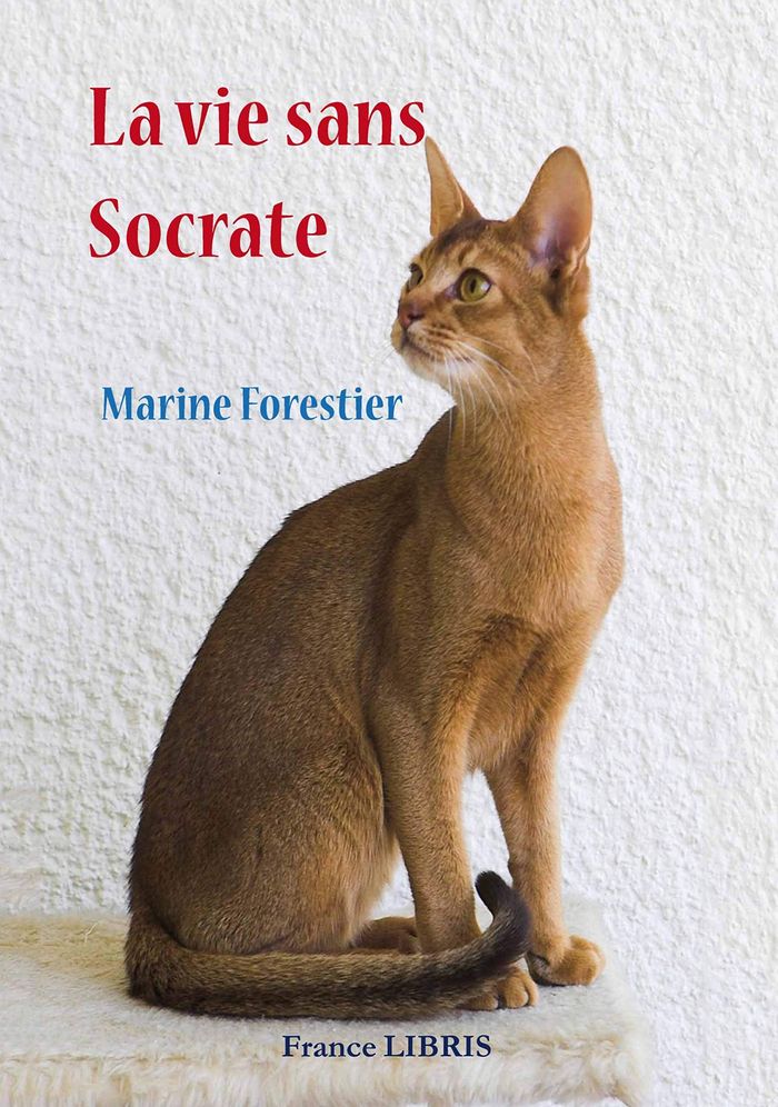 Couverture du livre « LA VIE SANS SOCRATE », librairie Les Contes Infusés à Corte
