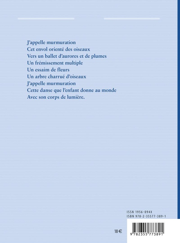 Quatrième de couverture de « Murmurations des oiseaux »