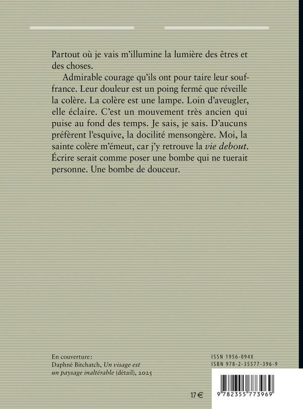 Quatrième de couverture de « Ce peu que les yeux voient »