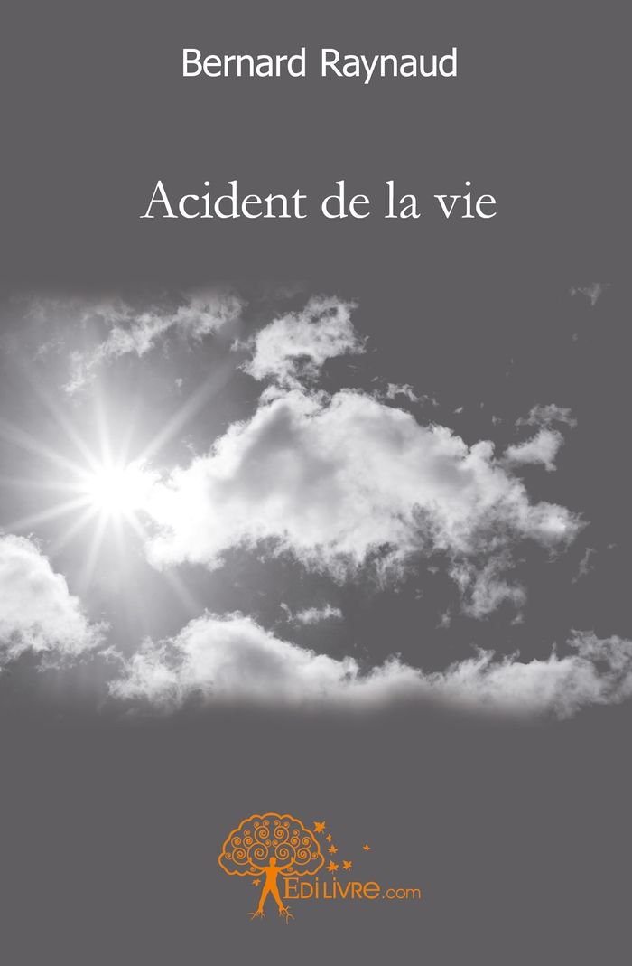 Couverture du livre « ACCIDENT DE LA VIE » de Bernard Raynaud, librairie Les Contes Infusés à Corte