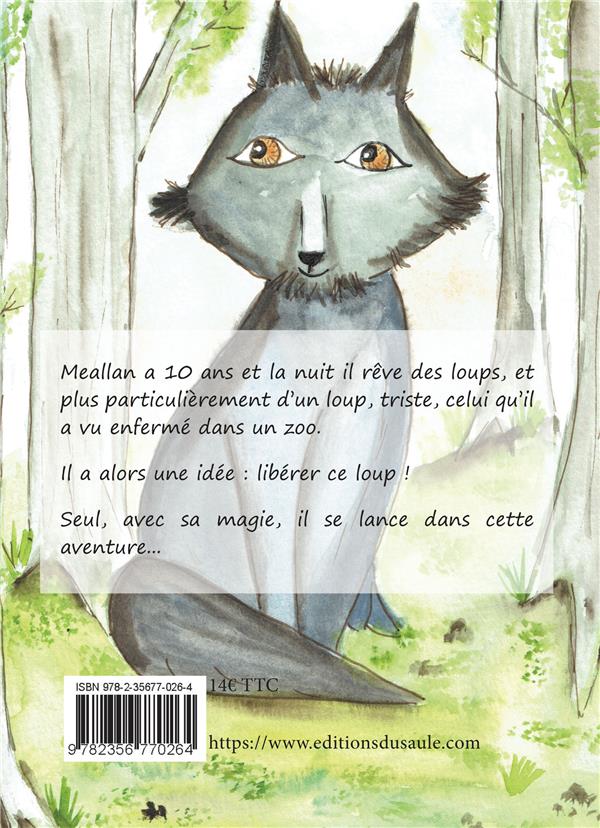 Quatrième de couverture de « MOI, MEALLAN, FILS ET PETIT-FILS DE MAGE »