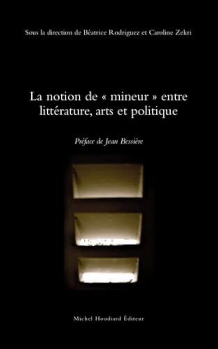 Couverture du livre « LA NOTION DE MINEUR ENTRE LITTERATURE, ARTS ET POLITIQUE » de Zekri(dir) Rodriguez, librairie Les Contes Infusés à Corte