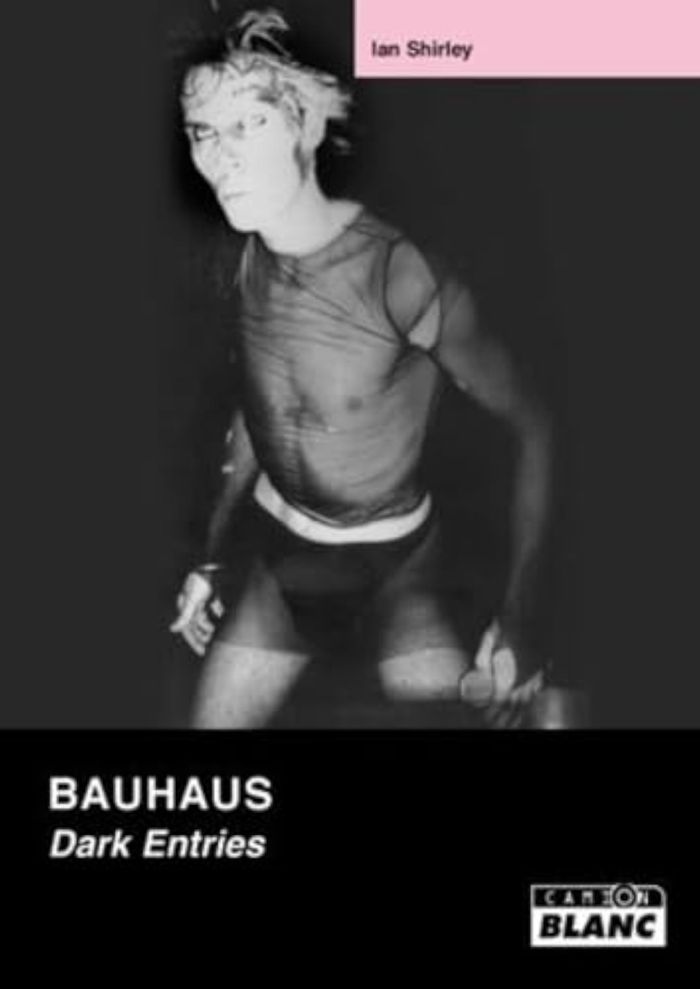 Couverture du livre « BAUHAUS DARK ENTRIES » de Ian Shirley, librairie Les Contes Infusés à Corte
