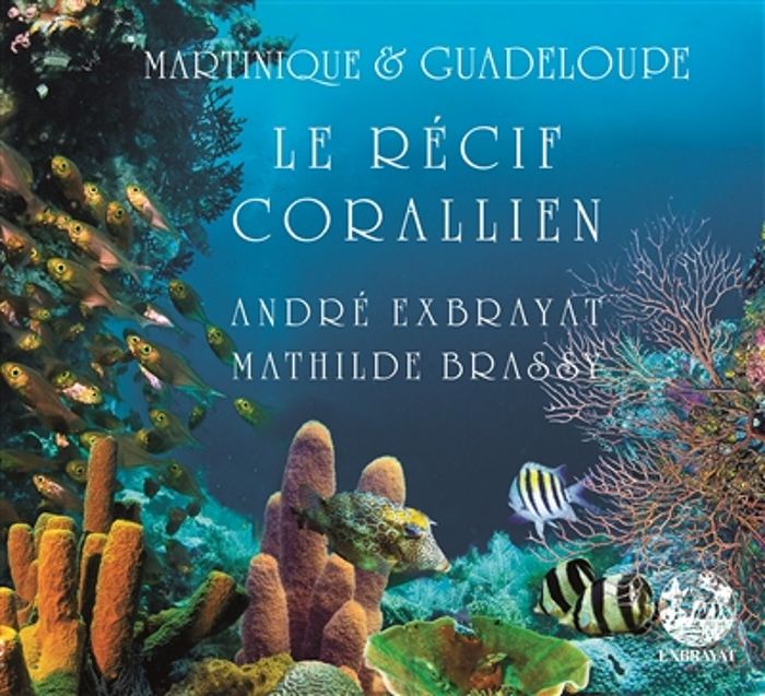 Couverture du livre « MARTINIQUE & GUADELOUPE - T01 - MERVEILLES DU RECIF CORALLIEN », librairie Les Contes Infusés à Corte