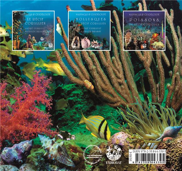 Quatrième de couverture de « MARTINIQUE & GUADELOUPE - T02 - MOLLUSQUES »