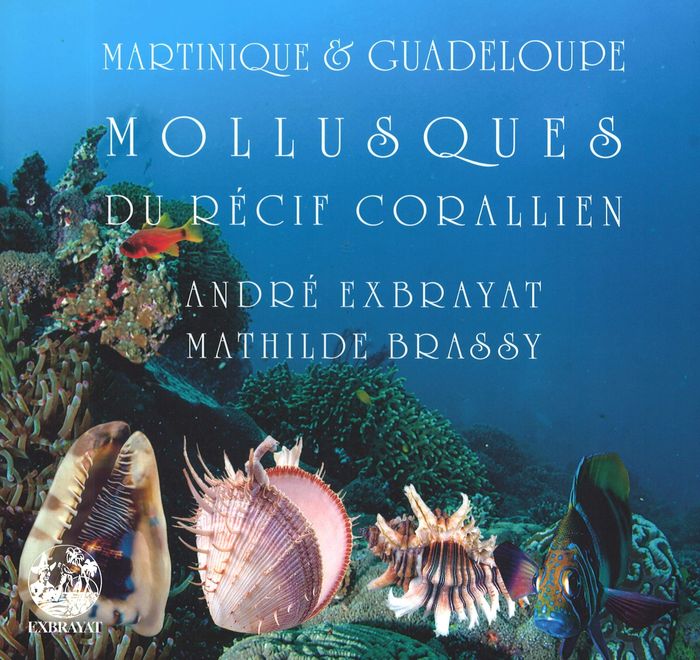 Couverture du livre « MARTINIQUE & GUADELOUPE - T02 - MOLLUSQUES » de Exbrayat/brassy, librairie Les Contes Infusés à Corte