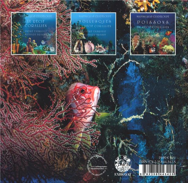 Quatrième de couverture de « MARTINIQUE & GUADELOUPE - T03 - LES POISSONS »
