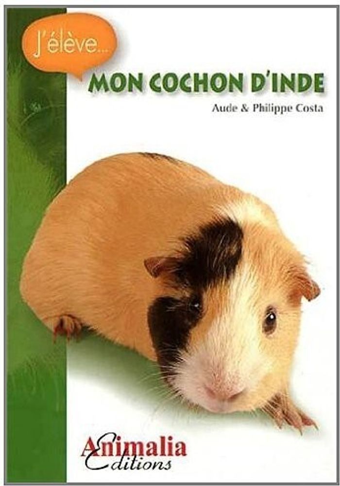 Couverture du livre « MON COCHON D'INDE », librairie Les Contes Infusés à Corte