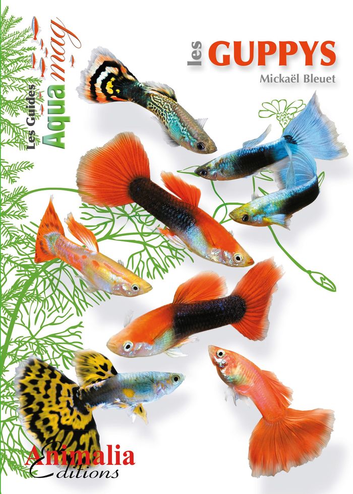 Couverture du livre « LES GUPPYS » de Mickael Bleuet, librairie Les Contes Infusés à Corte