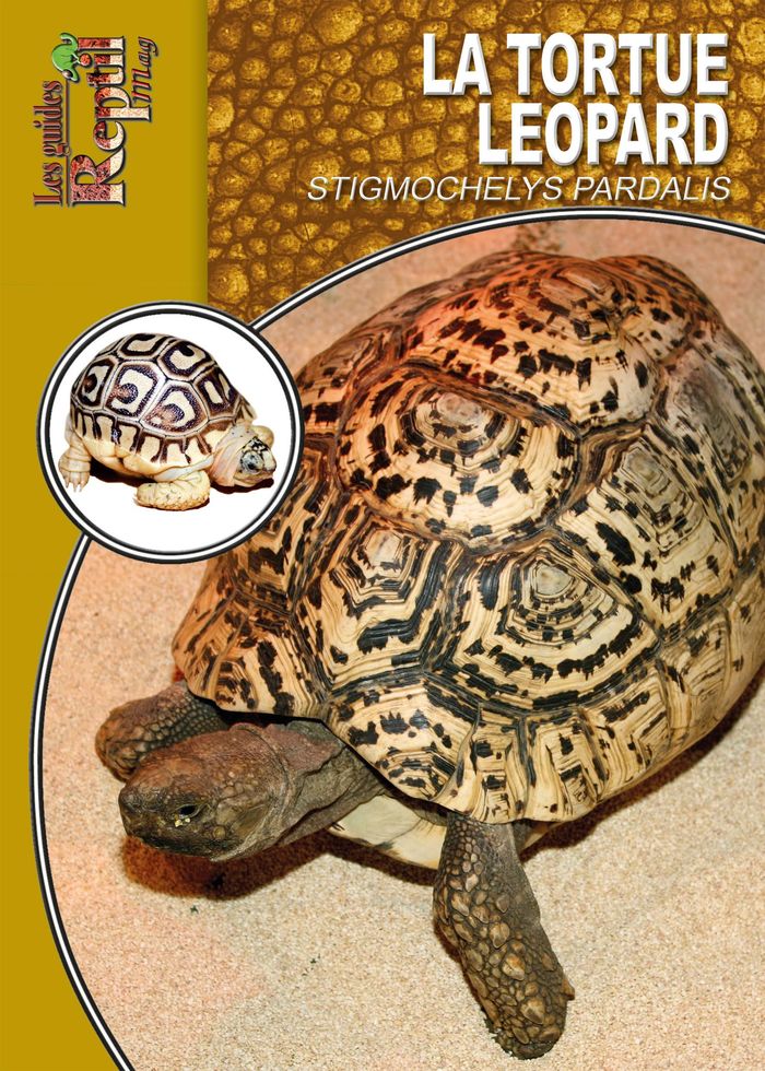 Couverture du livre « LA TORTUE LEOPARD - STIGMOCHELYS PARDALIS », librairie Les Contes Infusés à Corte