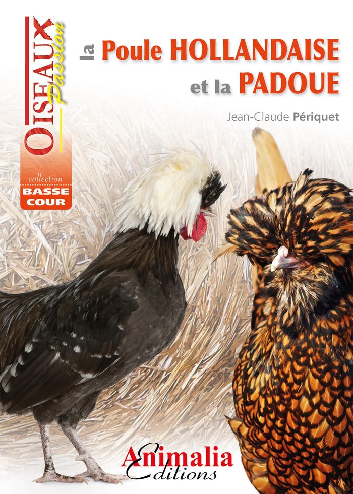 Couverture du livre « LA POULE HOLLANDAISE ET LA PADOUE » de Jean-Claude Periquet, librairie Les Contes Infusés à Corte