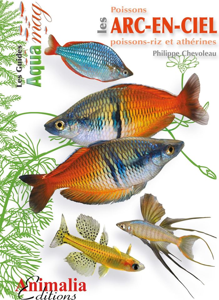 Couverture du livre « LES POISSONS ARC-EN-CIEL - POISSONS-RIZ ET ATHERINES » de Philippe Chevoleau, librairie Les Contes Infusés à Corte