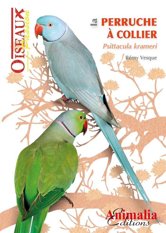 Couverture du livre « LA PERRUCHE A COLLIER - PSITTACULA KRAMERI » de Remy Vesque, librairie Les Contes Infusés à Corte