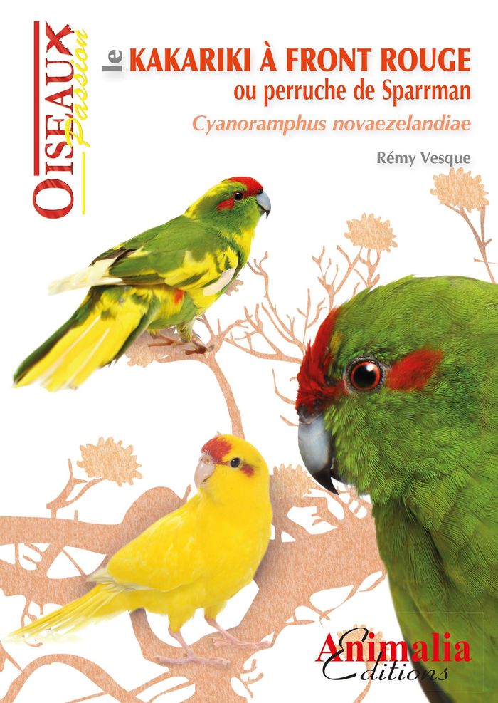 Couverture du livre « LE KAKARIKI A FRONT ROUGE OU PERRUCHE DE SPARRMAN - CYANORAMPHUS NOVAEZELANDIAE » de Remy Vesque, librairie Les Contes Infusés à Corte