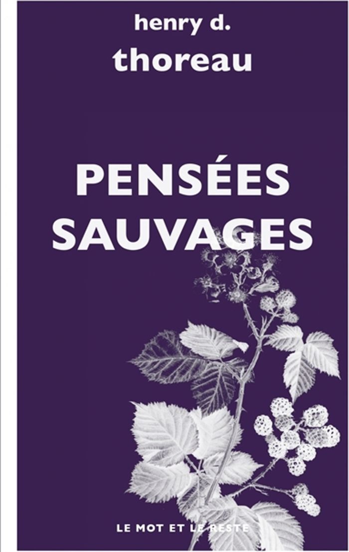 Couverture du livre « Pensées sauvages » de Henry David Thoreau, librairie Les Contes Infusés à Corte
