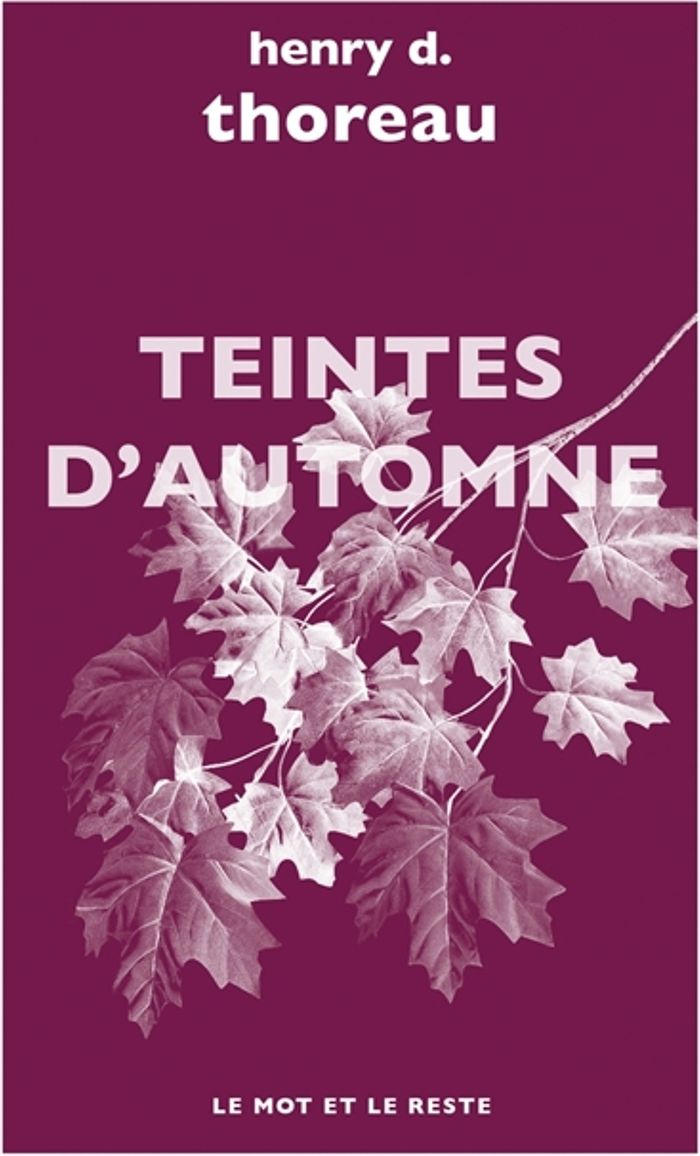Couverture du livre « Teintes d'automne » de Henry David Thoreau, librairie Les Contes Infusés à Corte