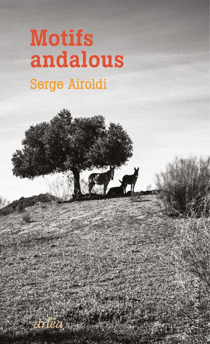 Couverture du livre « Motifs andalous », librairie Les Contes Infusés à Corte
