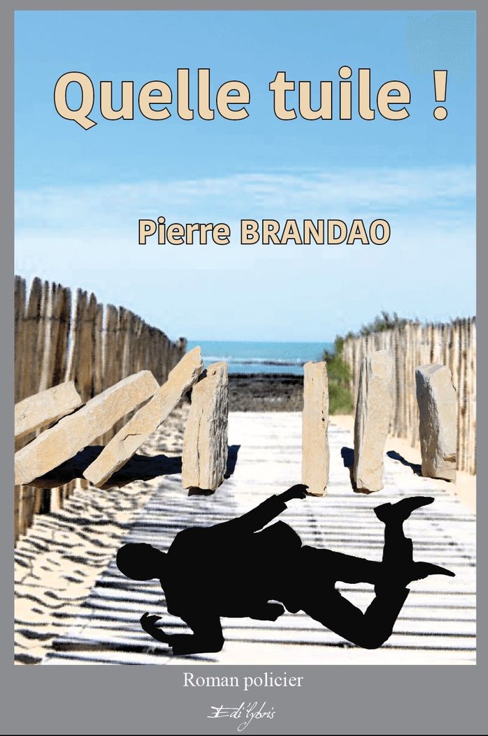 Couverture du livre « QUELLE TUILE ! » de Pierre Brandao, librairie Les Contes Infusés à Corte