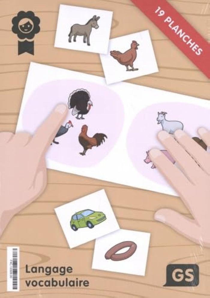 Couverture du livre « 311 SUPPORTS LANGAGE & VOCABULAIRE GS » de Davidson, librairie Les Contes Infusés à Corte