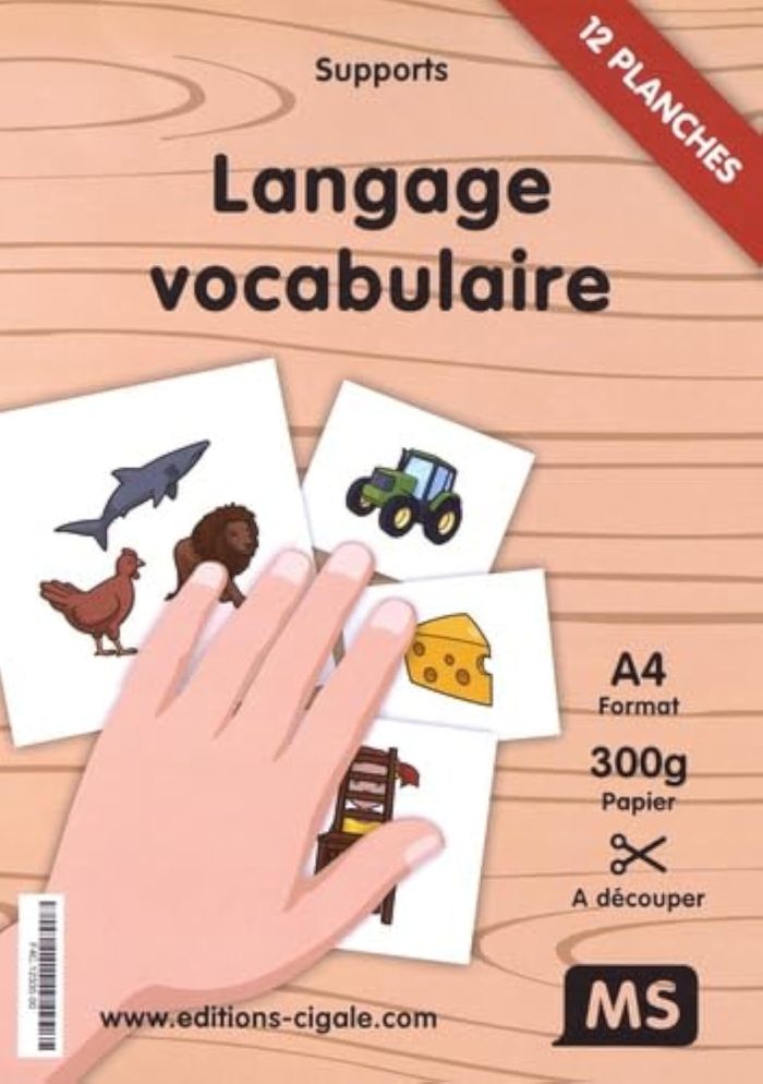Couverture du livre « 191 SUPPORTS LANGAGE & VOCABULAIRE MS » de Davidson, librairie Les Contes Infusés à Corte