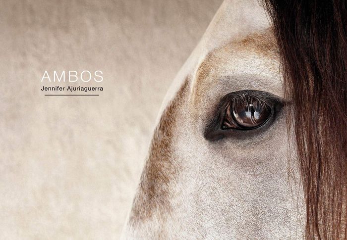 Couverture du livre « AMBOS », librairie Les Contes Infusés à Corte