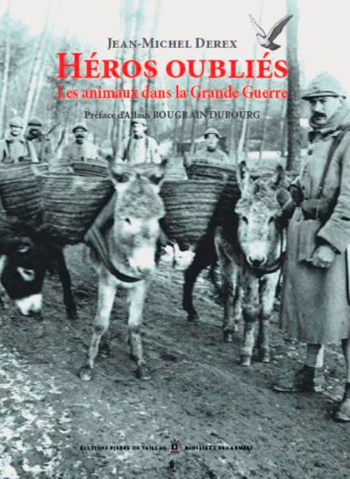 Couverture du livre « HEROS OUBLIES - LES ANIMAUX DANS LA GRANDE GUERRE » de Jean-Michel Derex, librairie Les Contes Infusés à Corte