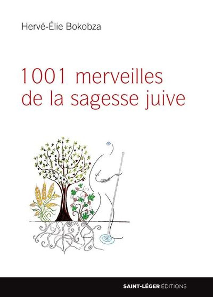 Couverture du livre « 1001 MERVEILLES DE LA SAGESSE JUIVE » de Herve-Elie Bokobza, librairie Les Contes Infusés à Corte