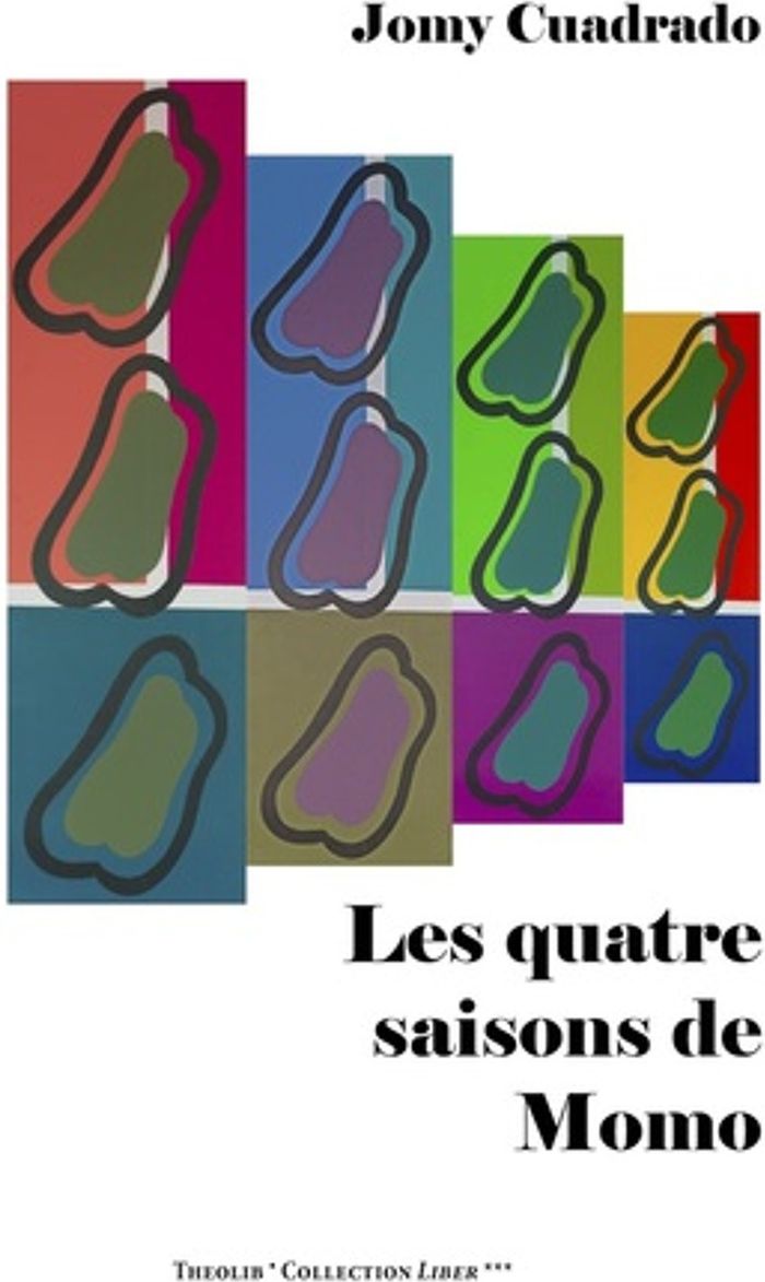 Couverture du livre « LES QUATRE SAISONS DE MOMO », librairie Les Contes Infusés à Corte