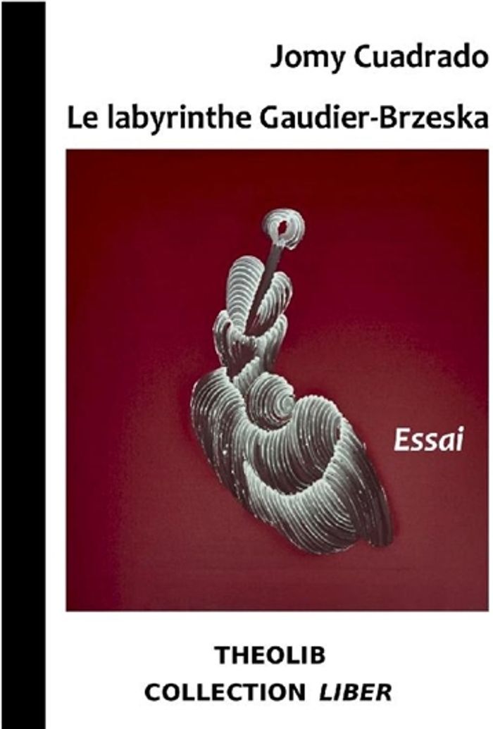 Couverture du livre « LE LABYRINTHE GAUDIER-BRZESKA » de Jomy Cuadrado, librairie Les Contes Infusés à Corte