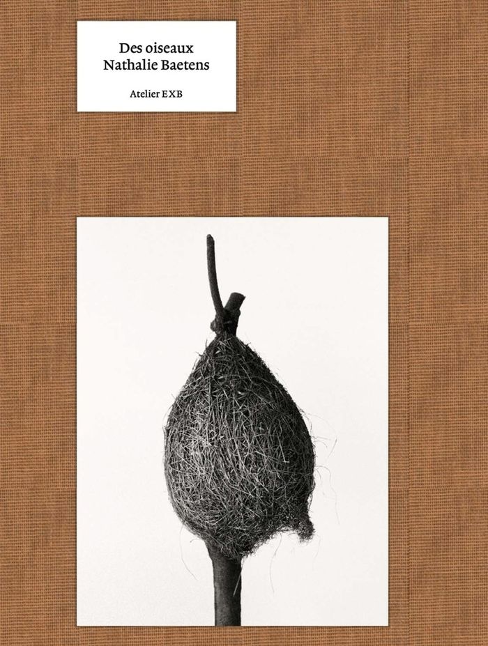 Couverture du livre « Des oiseaux » de Nathalie Baetens, librairie Les Contes Infusés à Corte