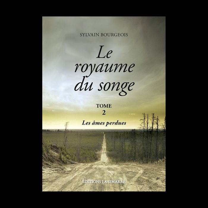 Couverture du livre « LE ROYAUME DU SONGE - TOME 2 - LES AMES PERDUES » de Sylvain Bourgeois, librairie Les Contes Infusés à Corte
