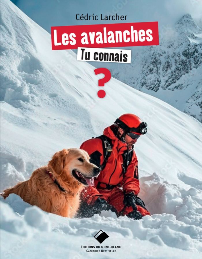 Couverture du livre « LES AVALANCHES, TU CONNAIS ? » de Cedric Larcher, librairie Les Contes Infusés à Corte