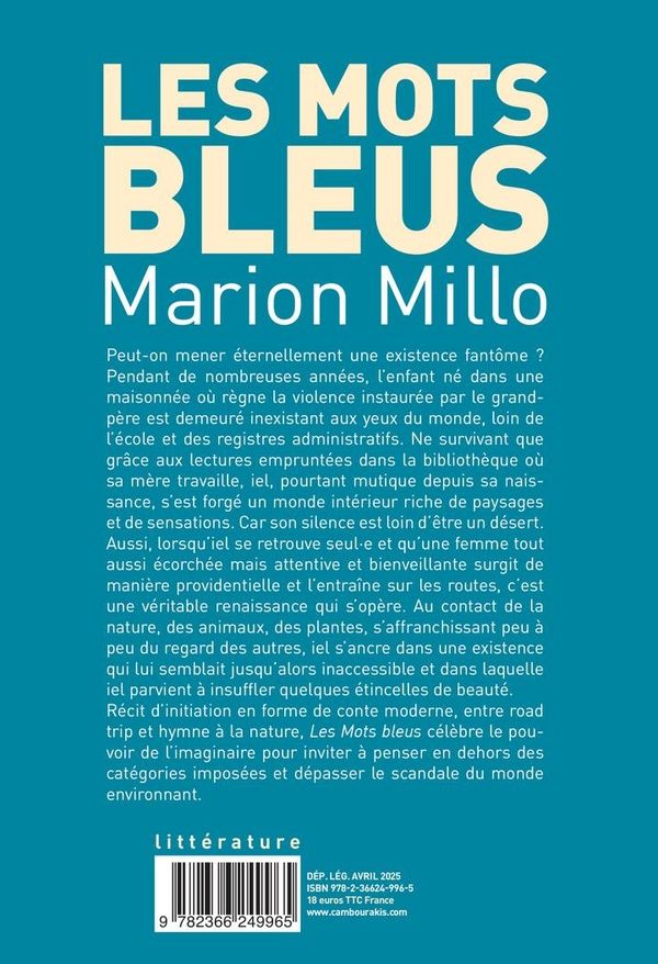 Quatrième de couverture de « Les mots bleus »