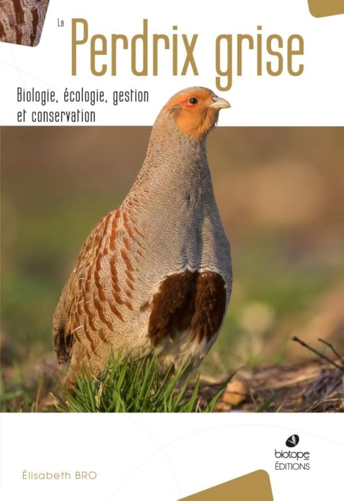 Couverture du livre « LA PERDRIX GRISE BIOLOGIE, ECOLOGIE, GESTION ET CONSERVATION », librairie Les Contes Infusés à Corte