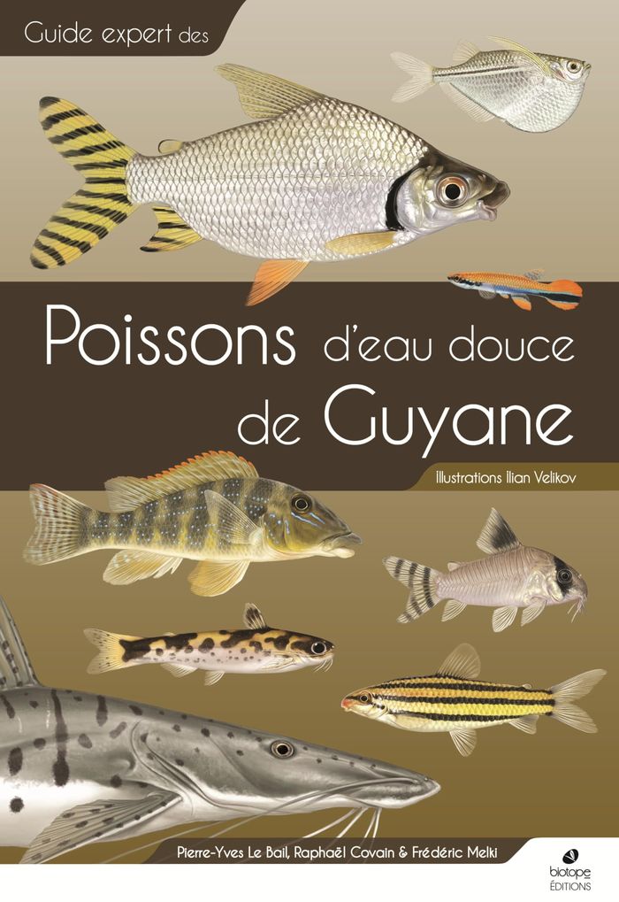 Couverture du livre « Poissons d'eau douce de Guyane » de Pierre-Yves Le Bail, librairie Les Contes Infusés à Corte
