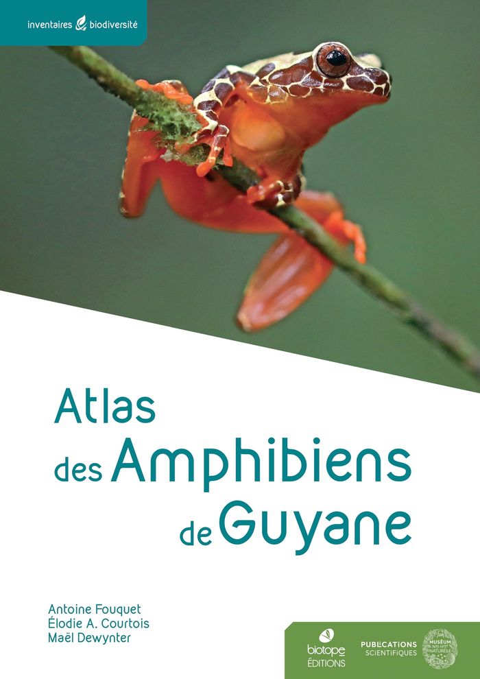 Couverture du livre « ATLAS DES AMPHIBIENS DE GUYANE » de Fouquet/courtois, librairie Les Contes Infusés à Corte